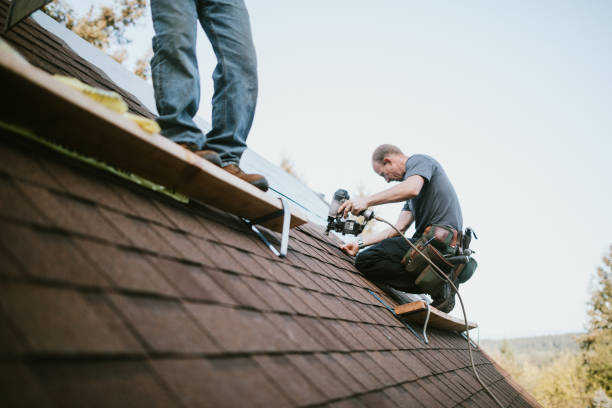 Best Roof Repair Services  in Harper Woods, MI