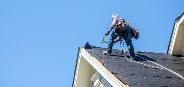Best Roof Repair Services  in Harper Woods, MI